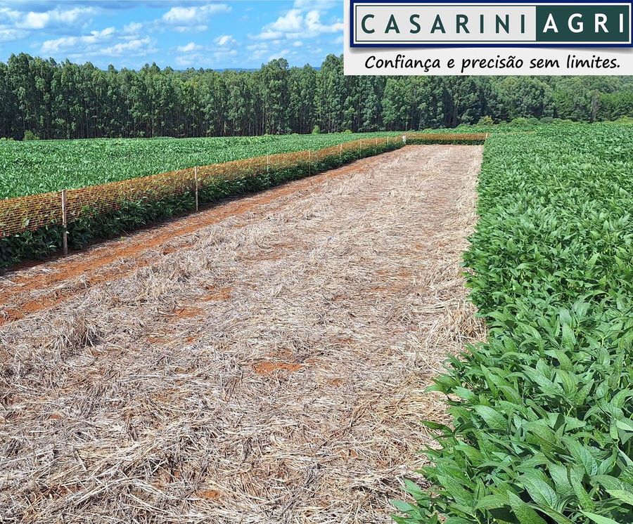 Trabalho CasariniAgri 12