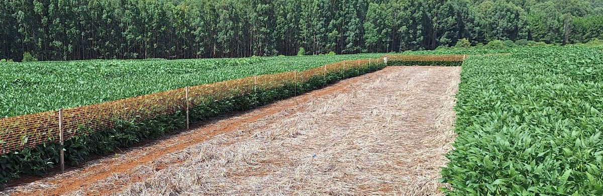 Área de contenção sob stewardship